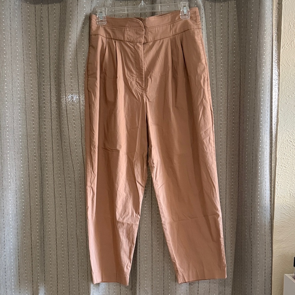 Express Tan Casual Pants